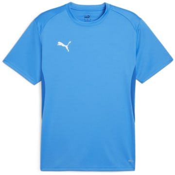 Puma teamGOAL Men T-Shirt