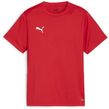 Puma teamGOAL Junior Boys T-Shirt