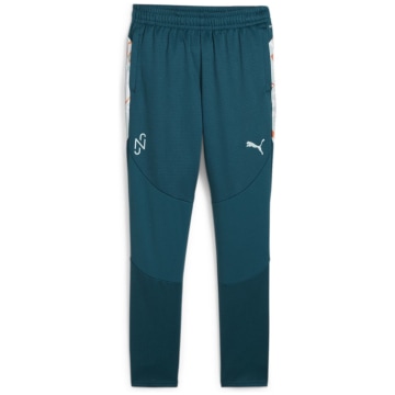 Puma Neymar JR Creativity Training Junior Kids Fan Long Pants