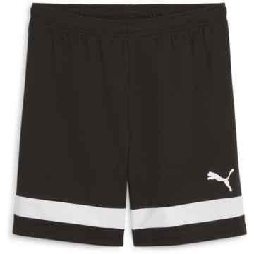 Puma individualRISE Herren Shorts