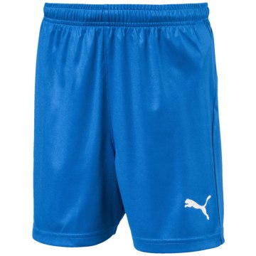 Puma Liga Shorts Core Jr Kinder Fußballhose