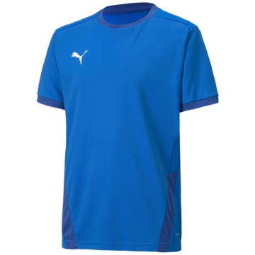 Puma TeamGOAL 23 Jr Kinder Trikot
