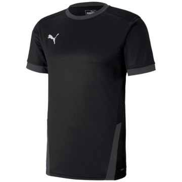 Puma TeamGOAL 23 Herren Trikot