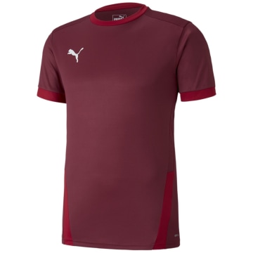 Puma TeamGOAL 23 Herren Trikot