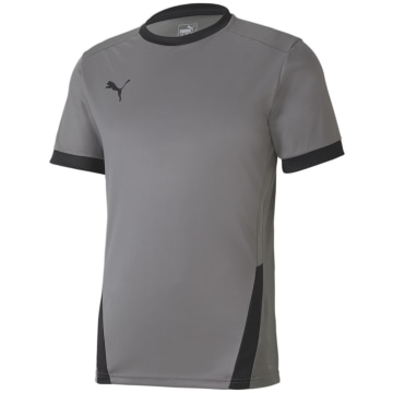 Puma TeamGOAL 23 Herren Trikot