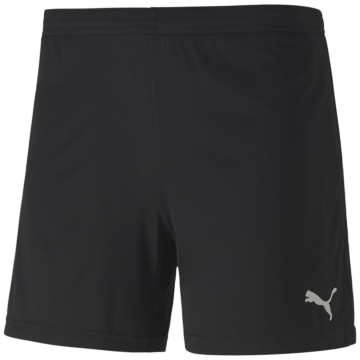 Puma teamGOAL 23 knit