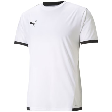 Puma TeamLIGA Men Fan Jersey