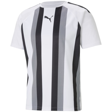 Puma TeamLIGA Striped Men Fan Shirt