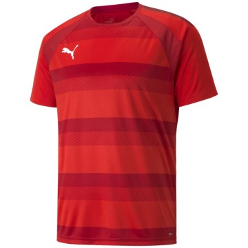 Puma TeamVISION Herren T-Shirt