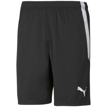Puma TeamLIGA Men Shorts
