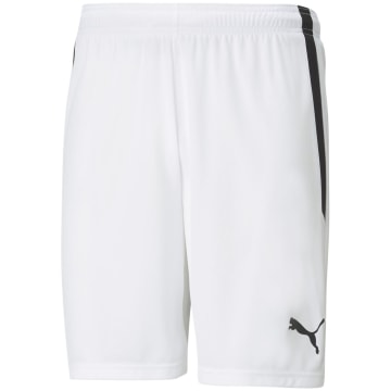 Puma TeamLIGA Men Shorts