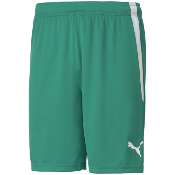 Puma TeamLIGA Men Shorts