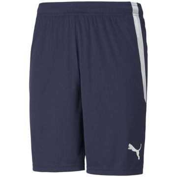 Puma TeamLIGA Men Shorts