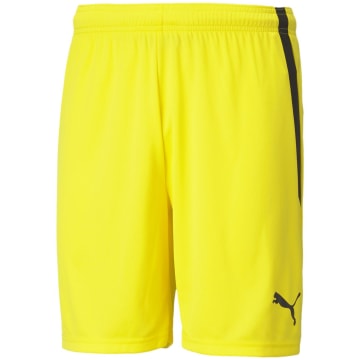 Puma TeamLIGA Men Shorts