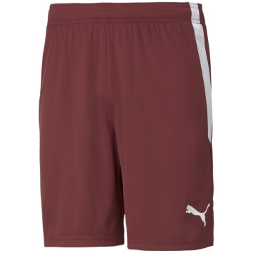 Puma TeamLIGA Men Shorts