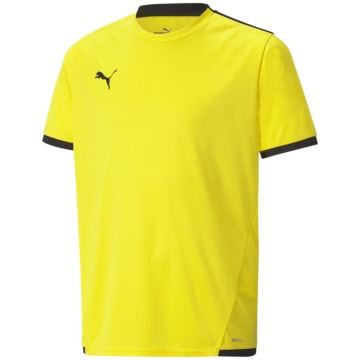 Puma TeamLIGA Kids Fan Jersey