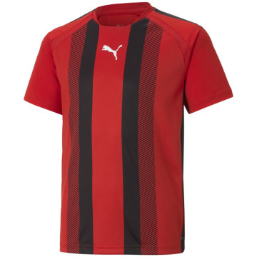 Puma TeamLIGA Striped Kids T-Shirt