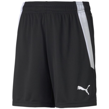 Puma TeamLIGA Kids Shorts