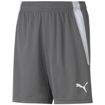 Puma TeamLIGA Kids Shorts