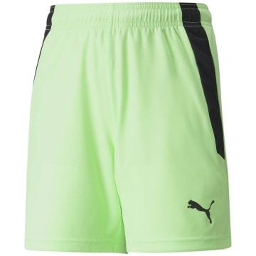 Puma TeamLIGA Kinder Shorts