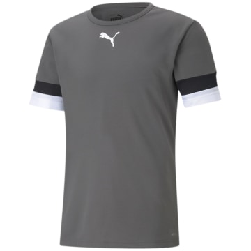 Puma TeamRISE Herren Trikot