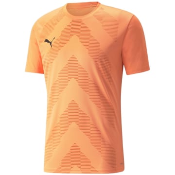 Puma TeamGLORY Men Fan Jersey