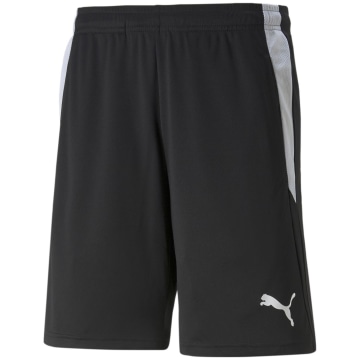 Puma TeamLIGA Referee Herren Shorts