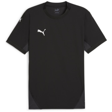 Puma teamFINAL Men Fan Jersey