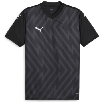 Puma teamGLORY Men Fan Jersey