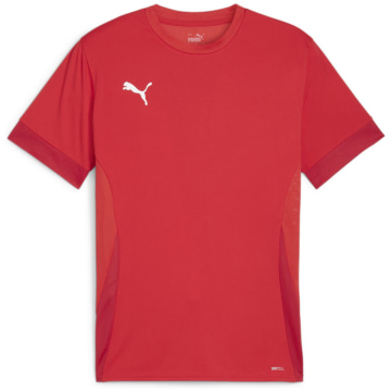 Puma teamGOAL Matchday Men Fan Jersey
