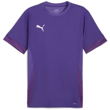 Puma teamGOAL Matchday Men Fan Jersey