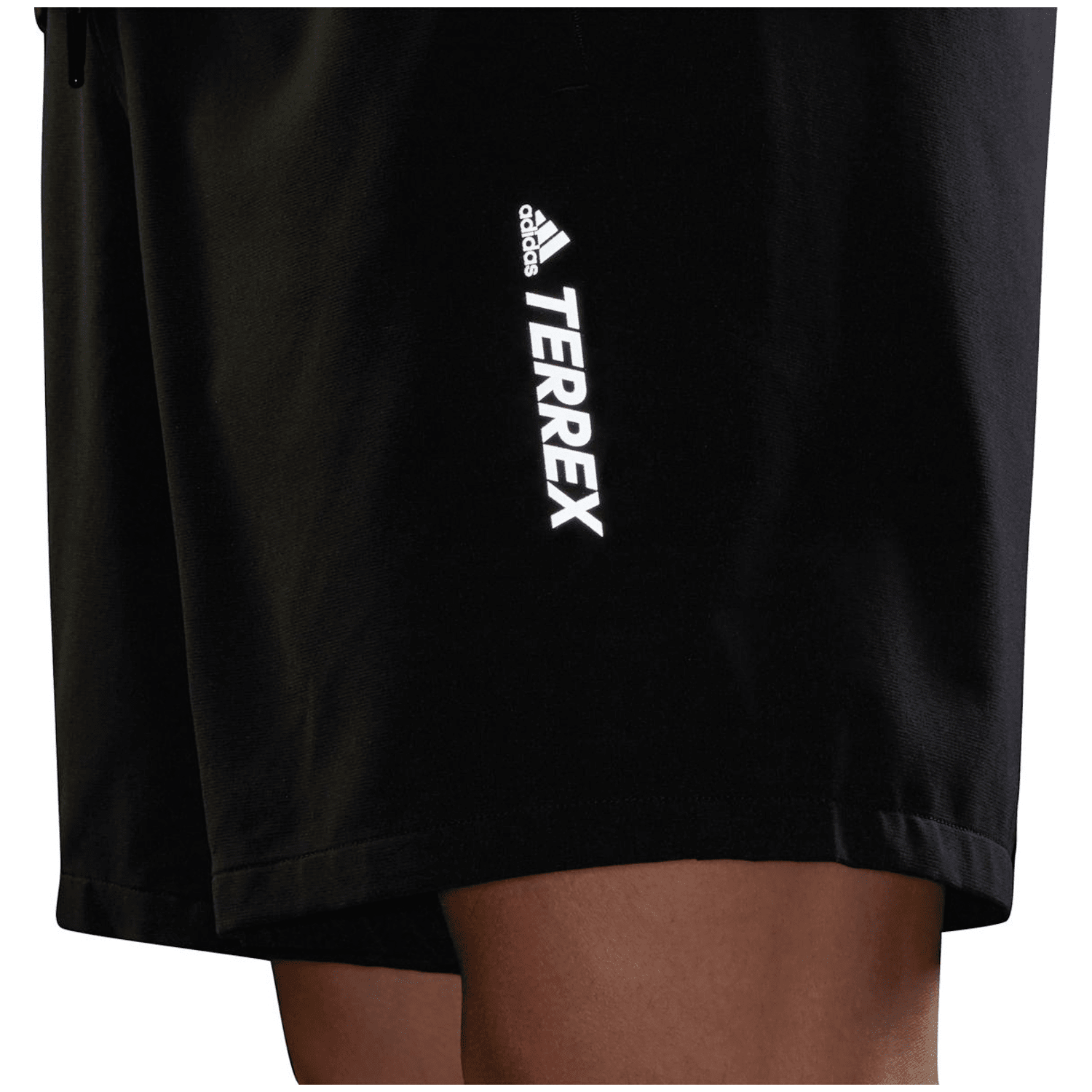 Adidas TERREX Liteflex Hiking Shorts Herren