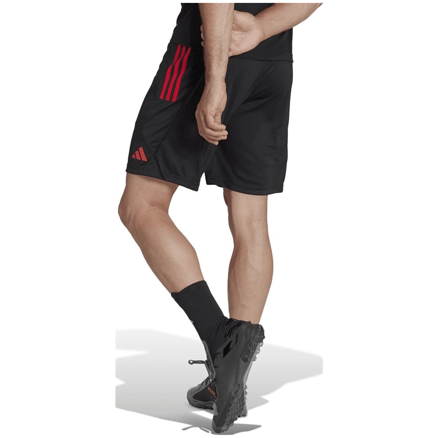 Adidas Belgien Tiro 23 Trainingsshorts Herren