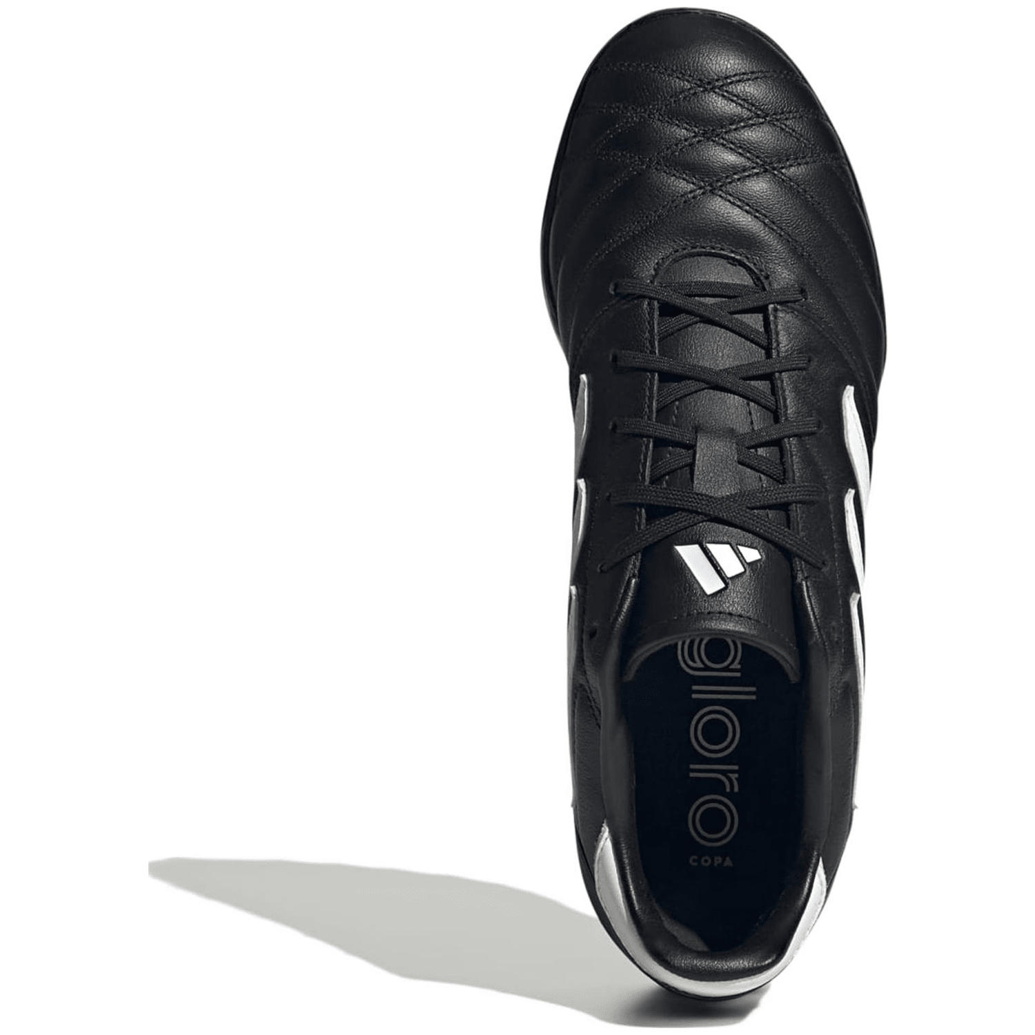 copa 19.3 sg