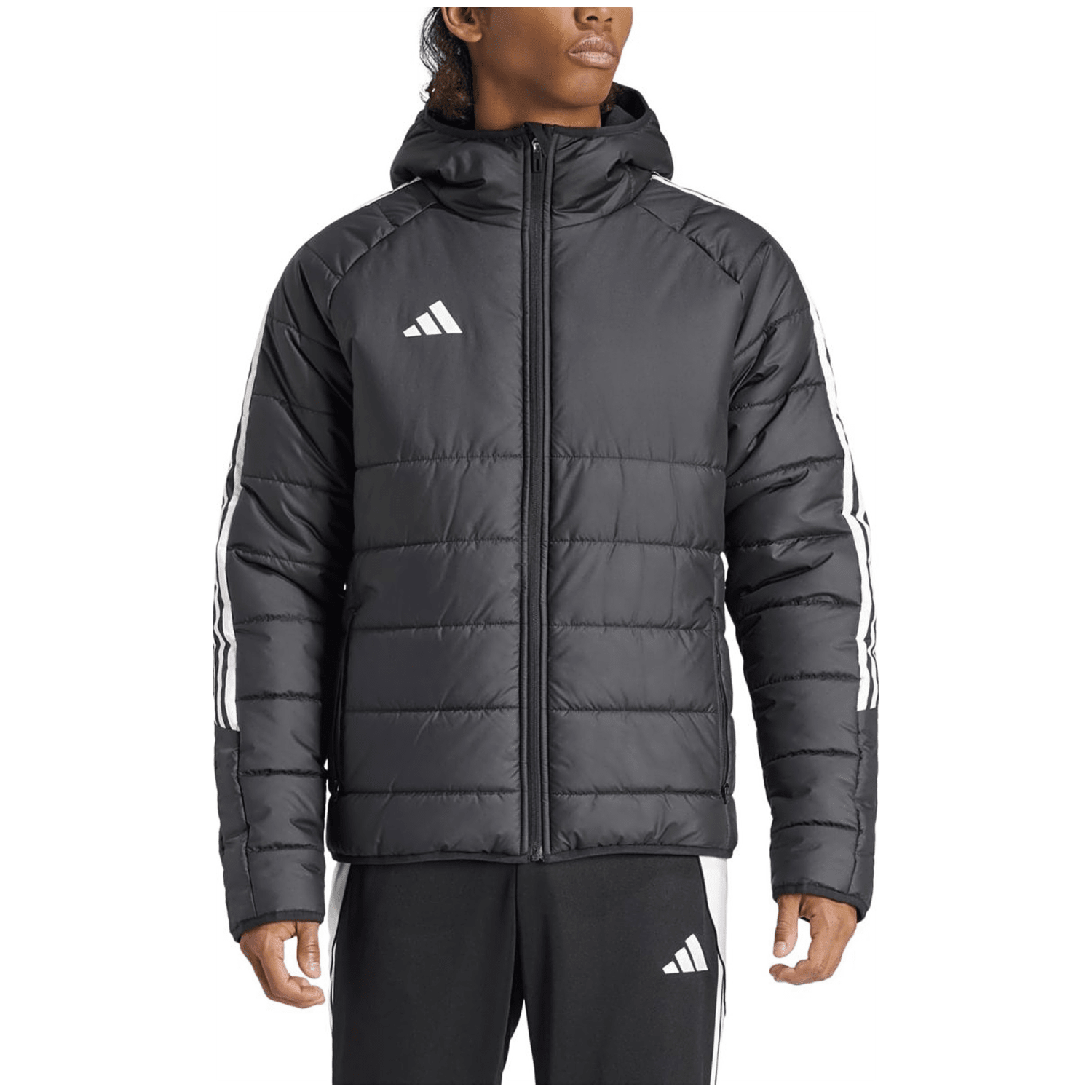 Adidas Tiro24 Winter Jacket Herren