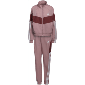 Adidas Trainingsanz ge g nstig online kaufen SPORT 2000