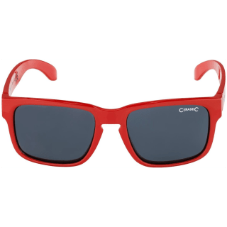 Alpina Mitzo Sonnenbrille Unisex