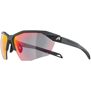 Alpina Twist Six HR QV Sonnenbrille Unisex