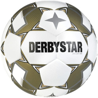 Derbystar Brillant APS v24 Outdoor-Fußball