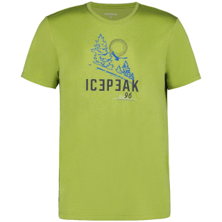 Icepeak Bearden Herren T-Shirt