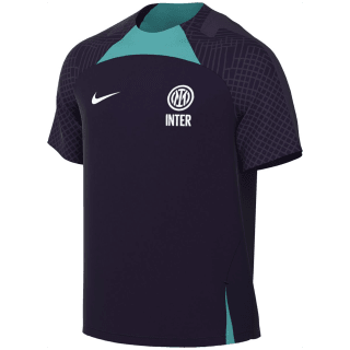 Nike Inter Milan Strike Dri-FIT Herren T-Shirt