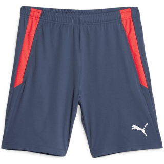 Puma TeamLIGA Training 2 (open Pockets) Herren Shorts