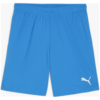 Puma teamGOAL Herren Shorts