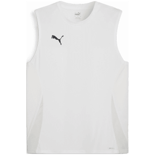 Puma teamGOAL Herren T-Shirt