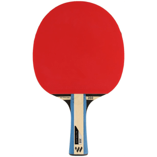 Witeblaze WB 300 TT BAT 2.0 Tischtennisschläger