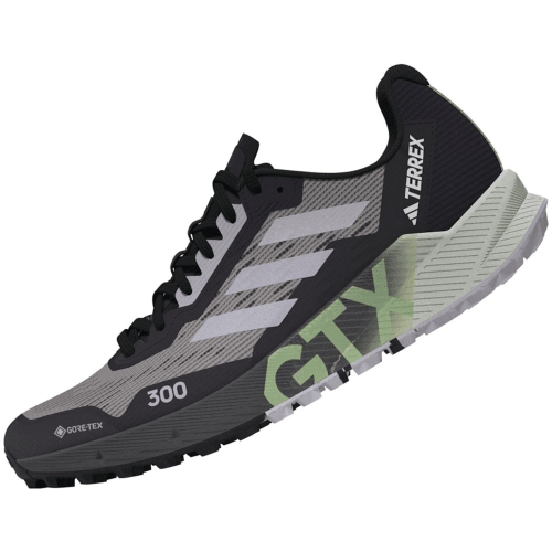 Adidas Terrex Agravic Flow 2.0 Gore-Tex Trailrunning-Schuh Damen