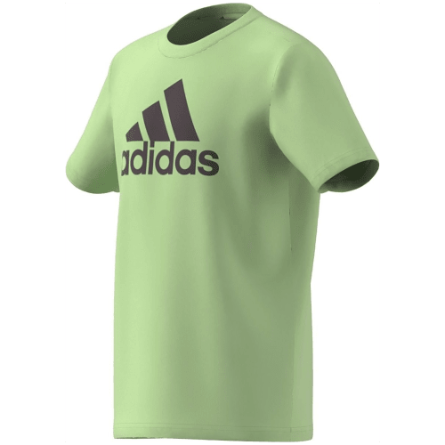 Adidas Essentials Big Logo Cotton T-Shirt Kinder