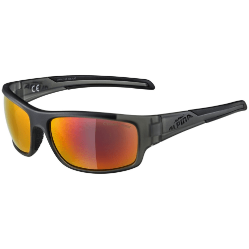 Alpina Testido Sonnenbrille Unisex