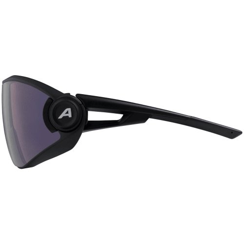 Alpina 5W1Ng Q Sonnenbrille Unisex