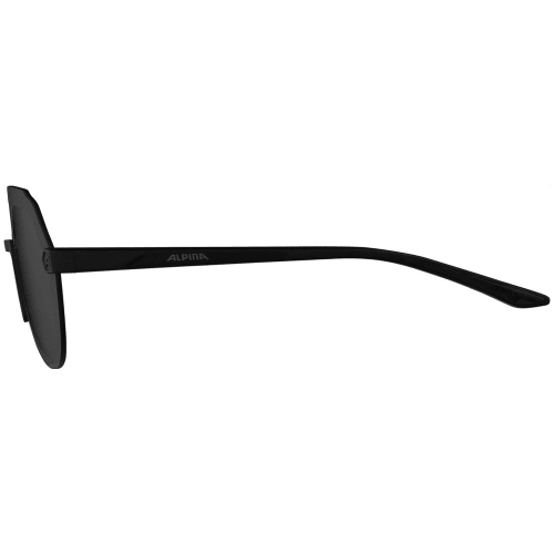 Alpina Beam II Sonnenbrille Unisex